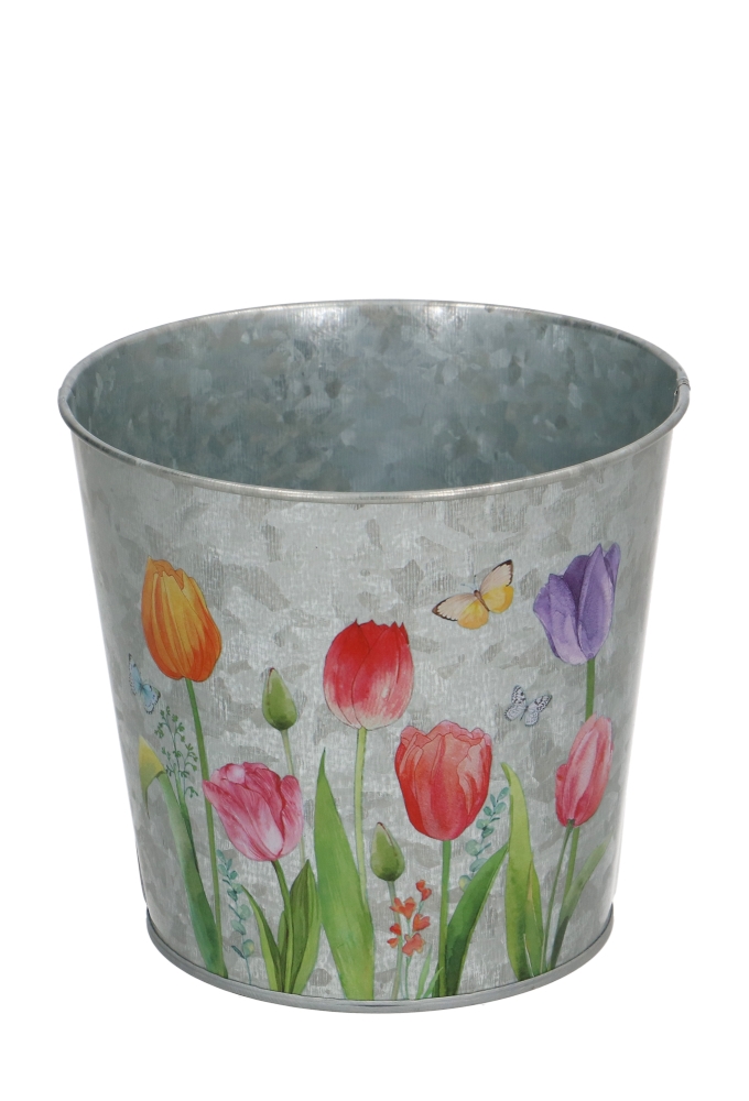 Blikken Emmer Tulpen 13x11,5cm 24stuks