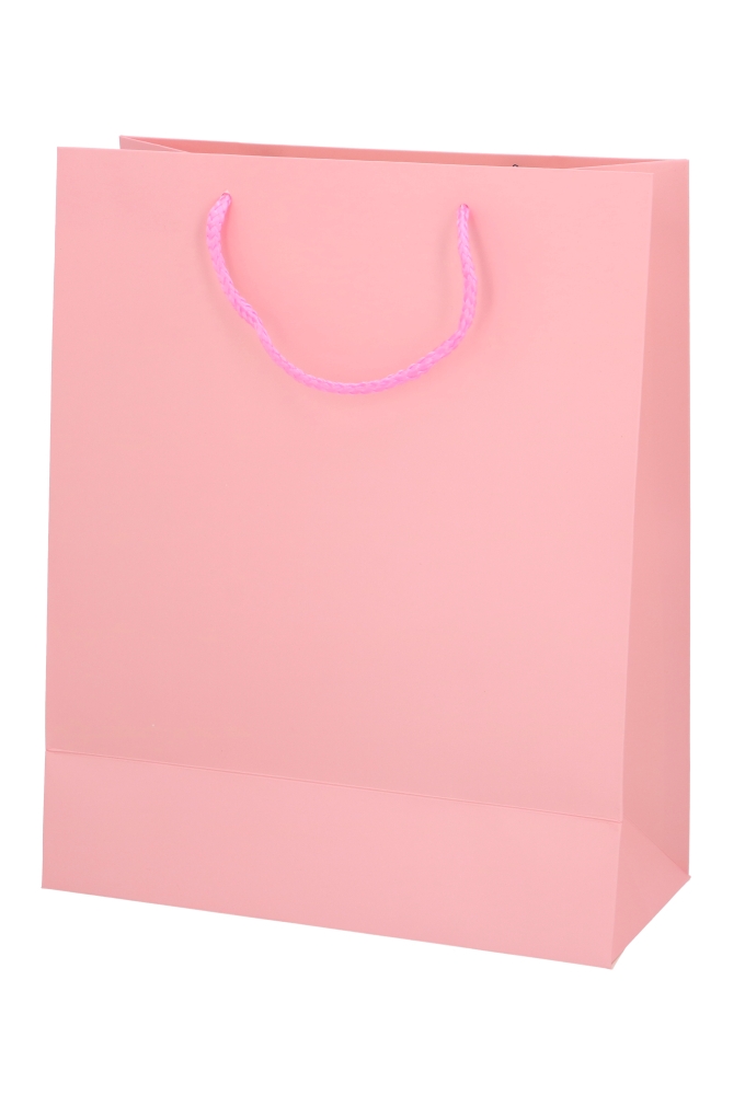 Luxe Kadotasjes Kind Groot Baby Roze 26.5x13.5x32.5cm 12stuks
