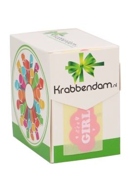 Etiketten Wolkje It's a Girl Roze 4cm 500stuks