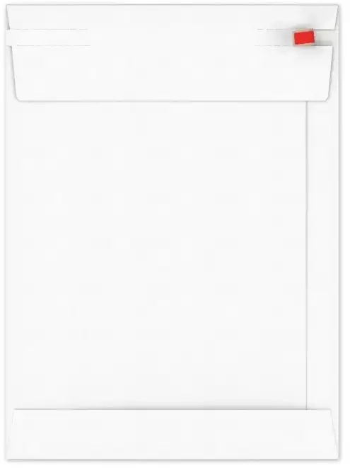 Kartonnen Verzendenveloppen Keulen 16.2x22.9cm 350grams 100stuks