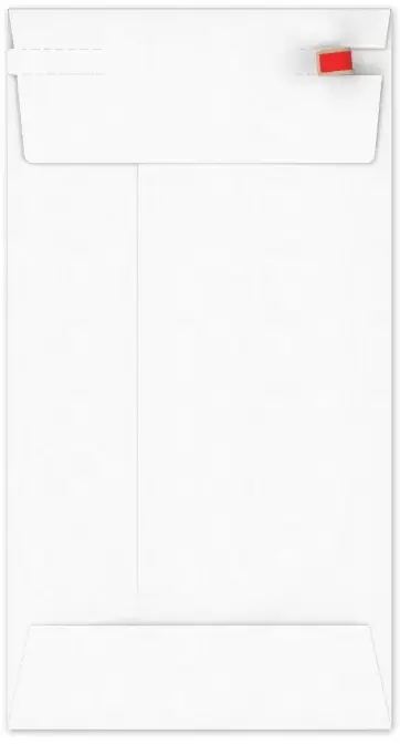 Kartonnen Verzendenveloppen Keulen 22x11cm 350grams 100stuks