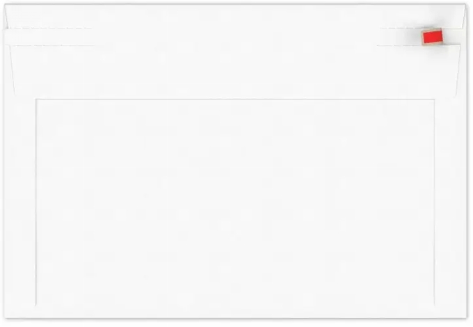 Kartonnen Verzendenveloppen Keulen 22.9x16.2cm 350grams 100stuks