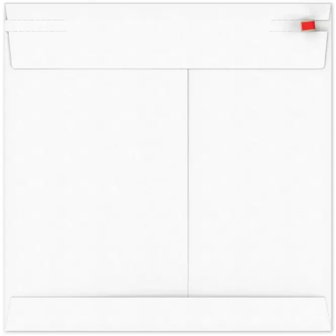 Kartonnen Verzendenveloppen Keulen 24.9x24.9cm 350grams 100stuks