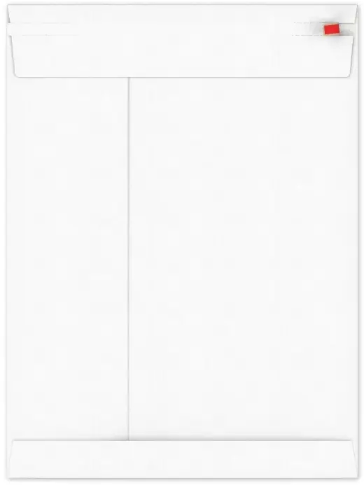 Kartonnen Verzendenveloppen Keulen 24.8x33cm 350grams 100stuks