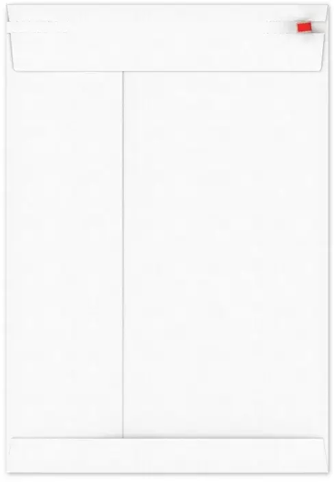 Kartonnen Verzendenveloppen Keulen 24.9x35.2cm 350grams 100stuks