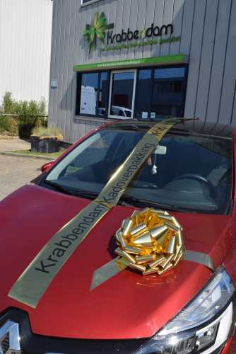 Openings Lint PVC Metallic Goud 10cm x 10meter