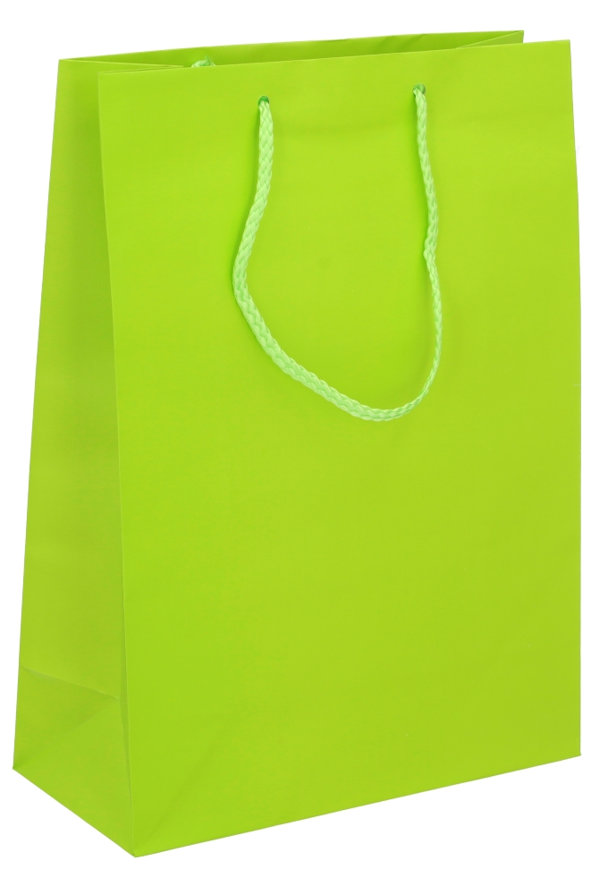 Kadotasjes Latina Mat Lime Groen Met Koord 27x12x37cm 12stuks