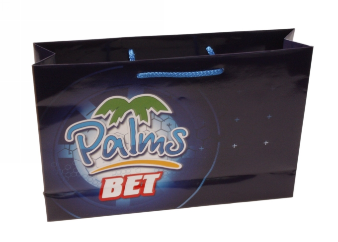 Luxe Tassen Bedrukken Met Logo 170GRAM & Koord 37x9x24cm