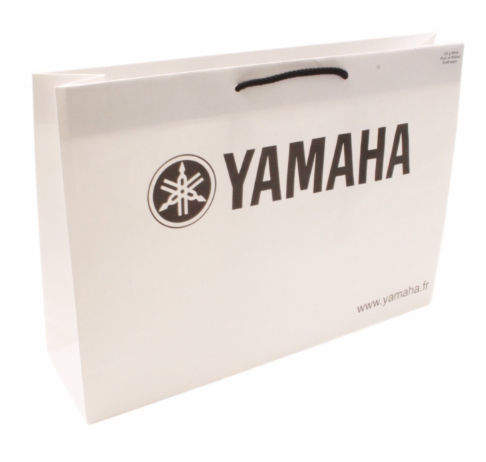 Kraft Tassen Bedrukken Met Logo 120GRAM & Koord 37x9x24cm