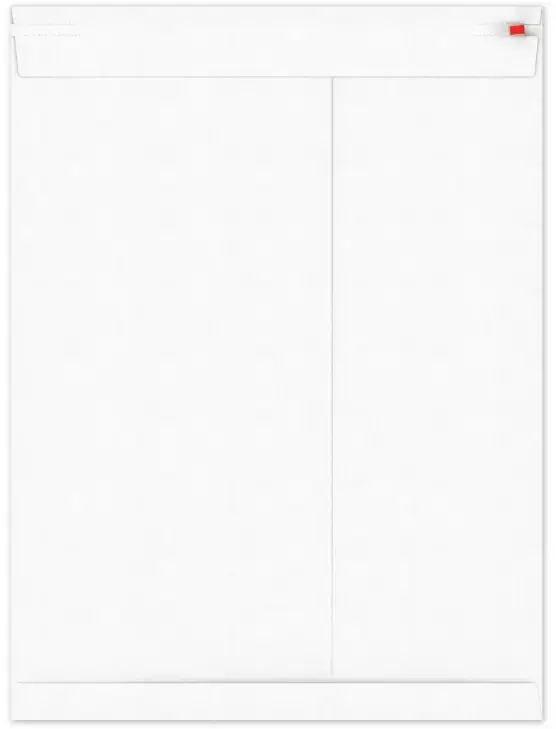 Kartonnen Verzendenveloppen Keulen 38.1x50.8cm 350grams 100stuks