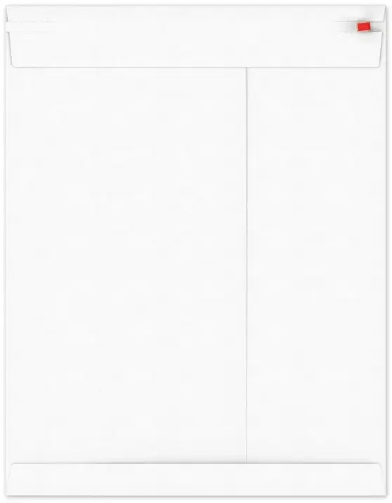 Kartonnen Verzendenveloppen Keulen 40.6x31.8cm 350grams 100stuks