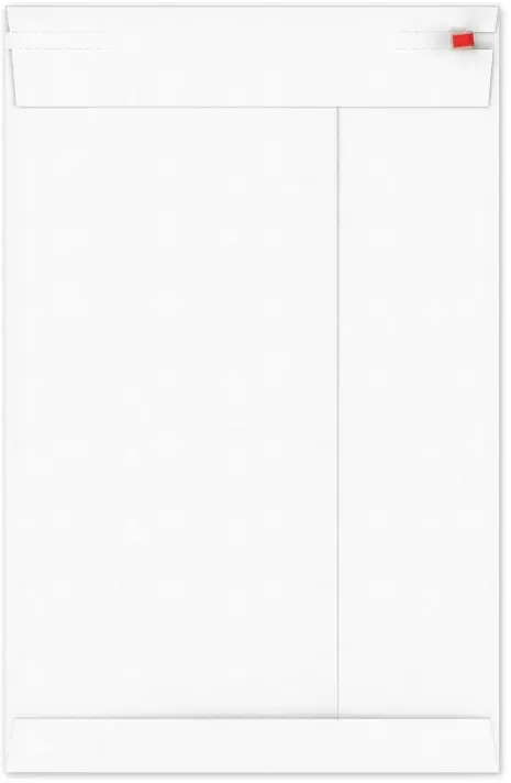 Kartonnen Verzendenveloppen Keulen 25.4x38.1cm 350grams 100stuks