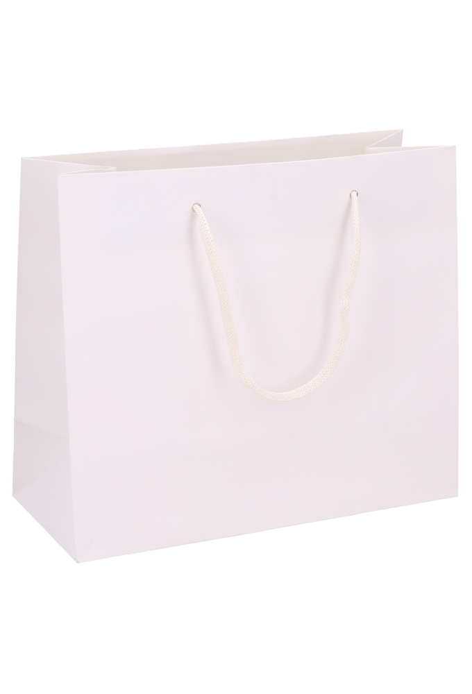 Luxe Papierentas Mat Luzon Wit & Koord 28x12x24cm 10stuks