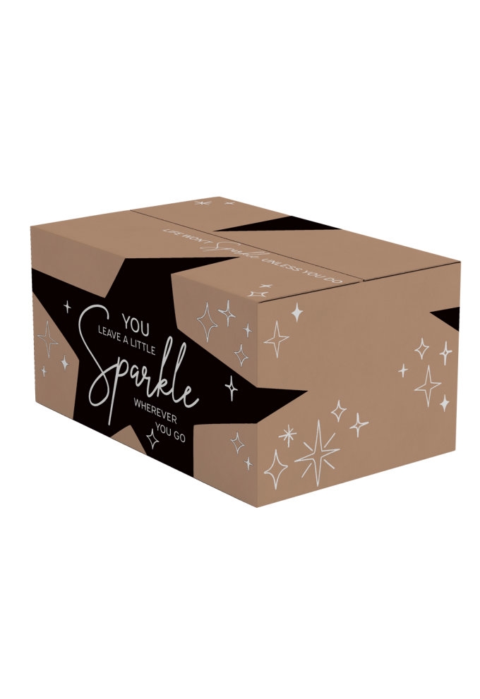 Kerstpakketdozen You Sparkle Kraft Zwart 39x29x30cm 15stuks Kerstpakketdozen You Sparkle Kraft Zwart 39x29x30cm 15stuks