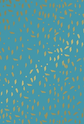 Cadeaupapier Coated Koel Winterblauw 70cm x 200meter Cadeaupapier Coated Koel Winterblauw 70cm x 200meter