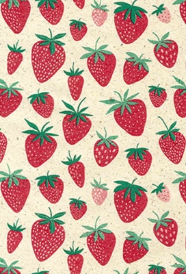 Cadeaupapier Gras Papier Aardbeien 70cm x 200meter Cadeaupapier Gras Papier Aardbeien 70cm x 200meter