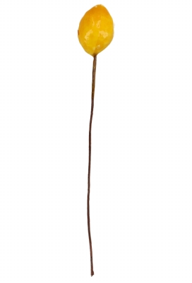 Kado Decoratie Lemons Geel 7x11cm Met IJzerdraad 108stuks Kado Decoratie Lemons Geel 7x11cm Met IJzerdraad 108stuks