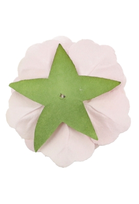 Kado Decoratie Bloem Roosje Licht Roze Papier 4 & 3cm 12stuks Kado Decoratie Bloem Roosje Licht Roze Papier 4 & 3cm 12stuks