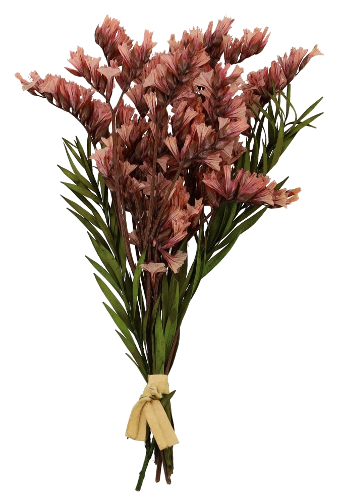 Droogbloemen Mini Decoratie Flowers Old Pink 10cm 1 Bosje