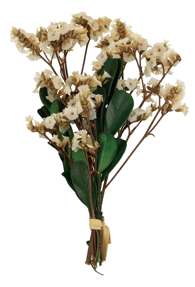 Droogbloemen Mini Decoratie Flowers Wit 10cm 1 Bosje
