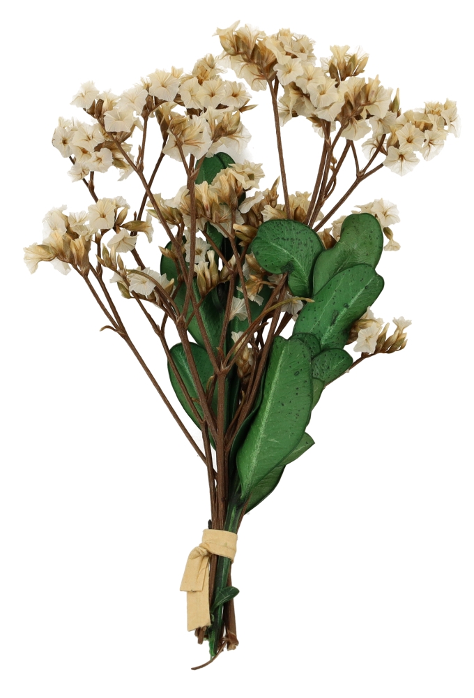 Droogbloemen Mini Decoratie Flowers Wit 10cm 1 Bosje