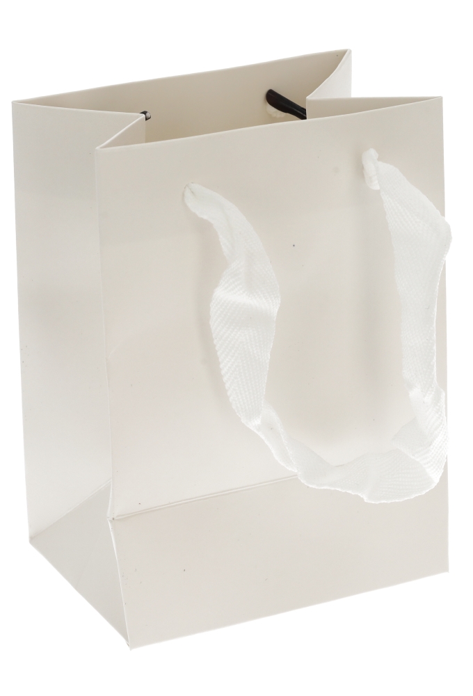 Kadotasjes Trazo Wit Mat Met PET Venster FSC® 11x8x15cm 10stuks