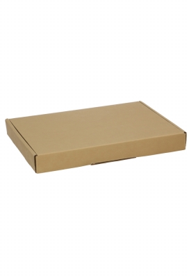 Brievenbusdoos Met Klep Pinto Goud Mat A5 25.5x17.5x2.9cm 100stuks Brievenbusdoos Met Klep Pinto Goud Mat A5 25.5x17.5x2.9cm 100stuks