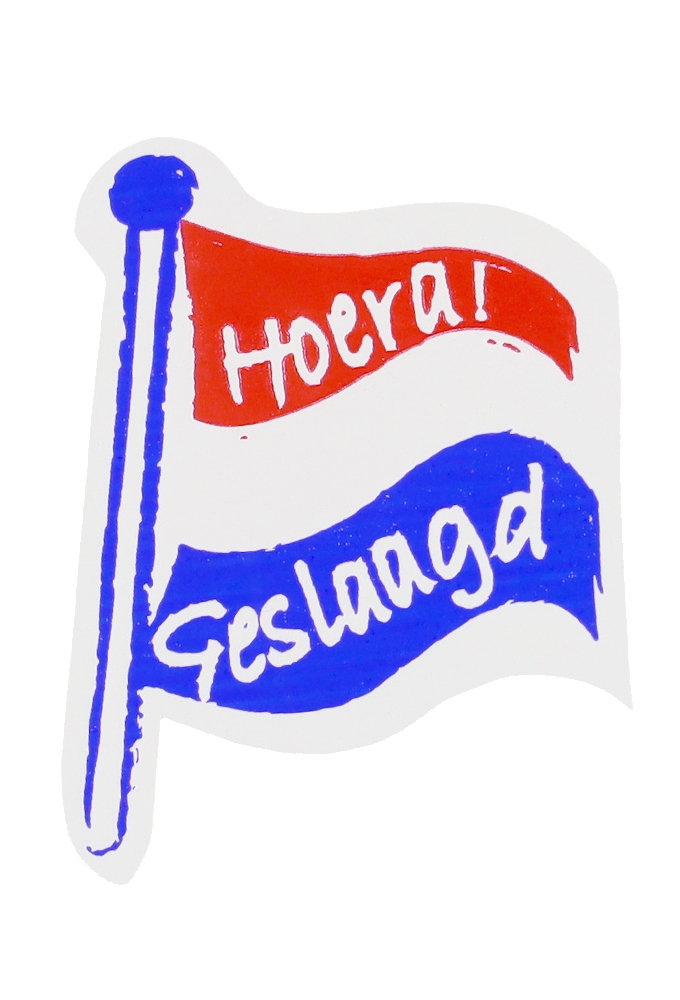 Etiketten Feest Hoera Geslaagd 3.2x4.2cm 500stuks