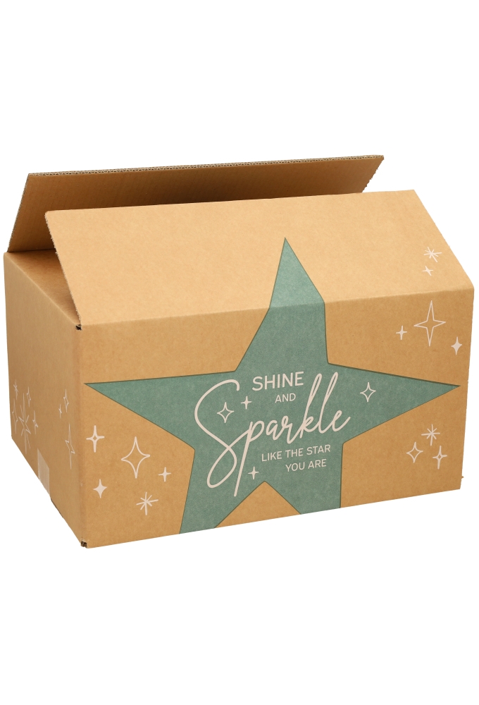 Kerstpakketdozen You Sparkle Kraft Groen 39x29x17.5cm 15stuks