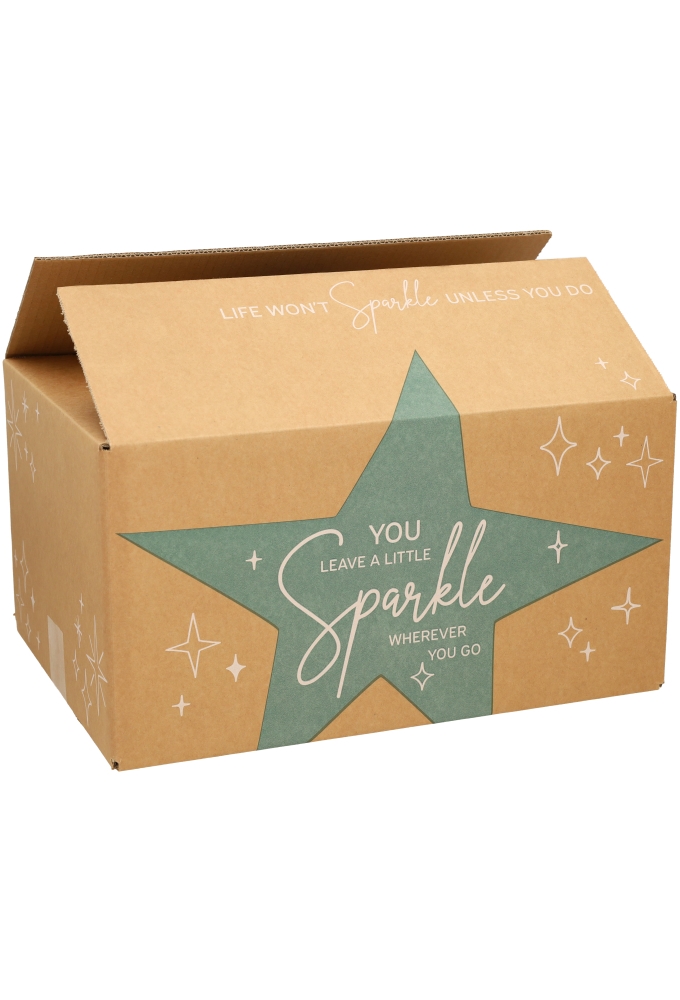 Kerstpakketdozen You Sparkle Kraft Groen 39x29x23.2cm 15stuks