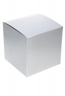 Kubus Geschenkdoosjes Zilver 12x12x12cm 25stuks Kubus Geschenkdoosjes Zilver 12x12x12cm 25stuks