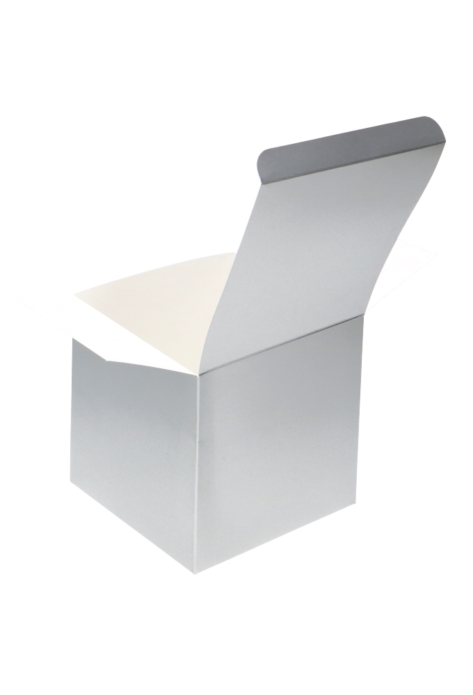 Kubus Geschenkdoosjes Zilver 12x12x12cm 25stuks Kubus Geschenkdoosjes Zilver 12x12x12cm 25stuks