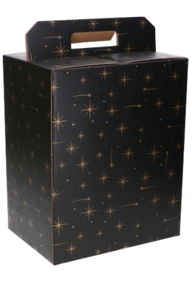 Geschenkdoos Draagbox Zwart Stars 28x20x35cm 49stuks
