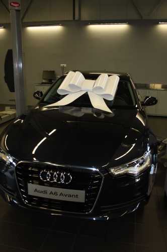 Megastrik Autostrik Toronto Wit 86x103cm