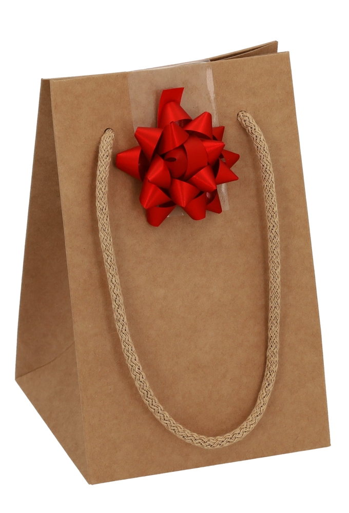 Kadotasjes Naturel Shopperboxje 11x11x17cm 10 stuks