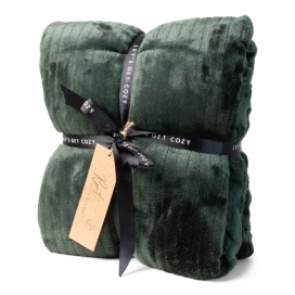 Jens Living Gift Plaid Rpet Groen 120x160x0.3cm 1stuks