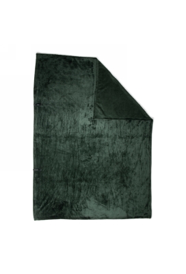 Jens Living Gift Plaid Rpet Groen 120x160x0.3cm 1stuks
