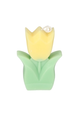 Jens Living Tulp Kaarsen Geel & Paars set van 2stuks 6x2.5x8.5cm 1st
