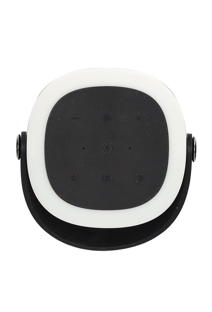 Brainz Tower Speaker Grijs 12x11x30cm 1stuks Brainz Tower Speaker Grijs 12x11x30cm 1stuks