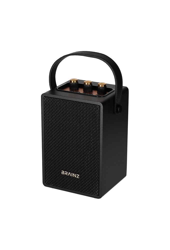 Brainz Retro Speaker Zwart 13.5x11x19cm 1stuks Brainz Retro Speaker Zwart 13.5x11x19cm 1stuks