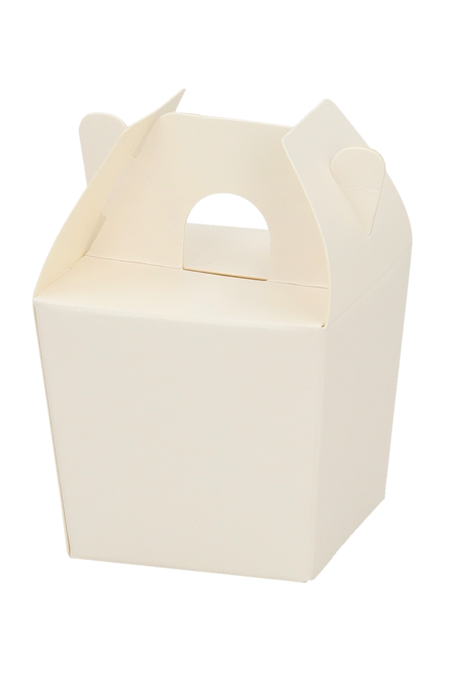 Cadeaudoosjes Kura Witte Takeaway 6x5.1x5.4 cm 25stuks Cadeaudoosjes Kura Witte Takeaway 6x5.1x5.4 cm 25stuks