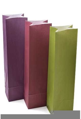 Luxe Wijnzak Met Blokbodem Avocado 10x8x41cm 50stuks Luxe Wijnzak Met Blokbodem Avocado 10x8x41cm 50stuks