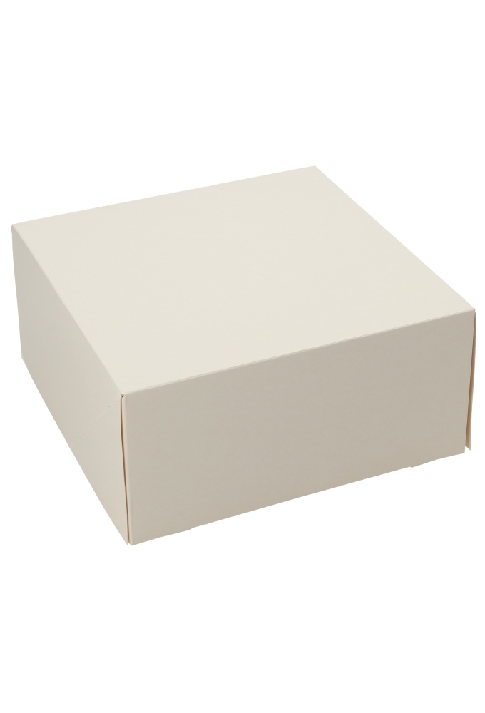 Gebaksdoos Blanco Wit Met Klep 23x23x11cm 270gram 150stuks Gebaksdoos Blanco Wit Met Klep 23x23x11cm 270gram 150stuks