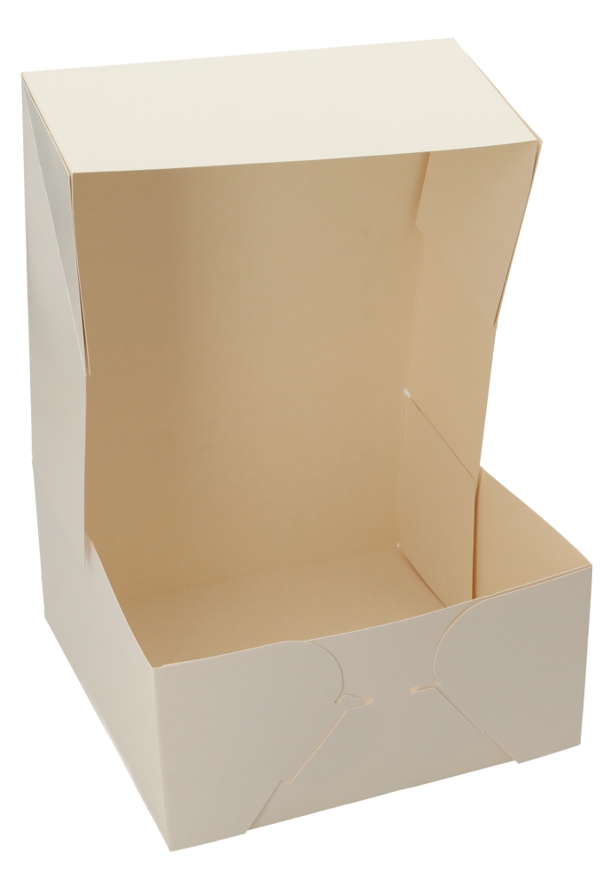 Gebaksdoos Blanco Wit Met Klep 23x23x11cm 270gram 150stuks Gebaksdoos Blanco Wit Met Klep 23x23x11cm 270gram 150stuks