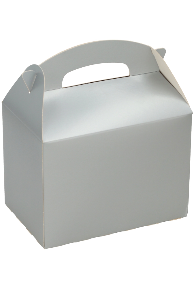 Draagdoosjes Danau Zilver 17.3x11.4x12.3cm 25st