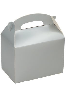 Draagdoosjes Danau Zilver 17.3x11.4x12.3cm 25st