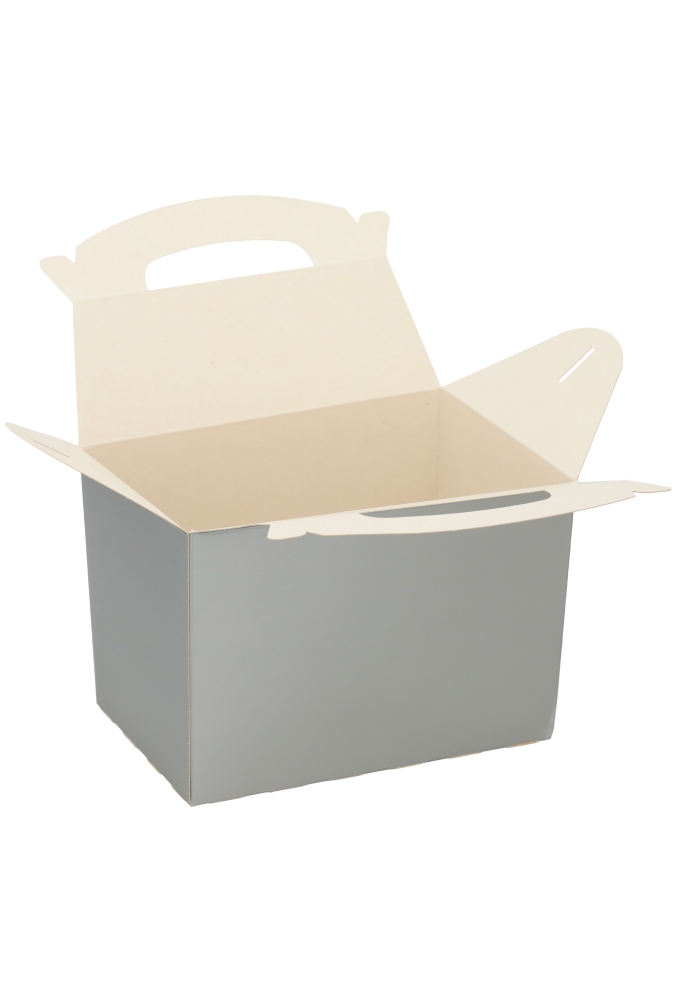 Draagdoosjes Danau Zilver 17.3x11.4x12.3cm 25st