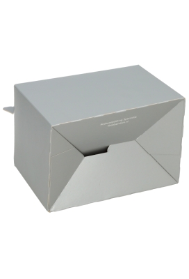 Draagdoosjes Danau Zilver 17.3x11.4x12.3cm 25st