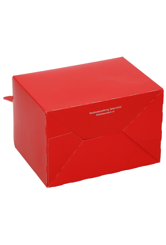 Draagdoos Lunchbox Danau Rood 17.3x11.4x12.3cm 25stuks
