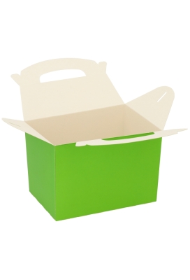 Draagdoosjes Danau Groen 17.3x11.4x12.3cm 25stuks